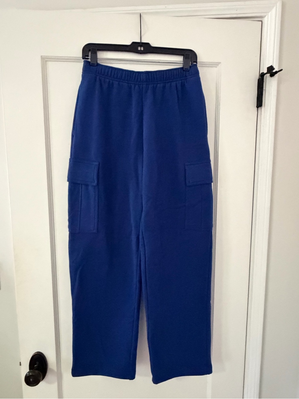 Aritzia Cozy Sweatfleece Mega Cargo™ Sweatpant Byron Blue